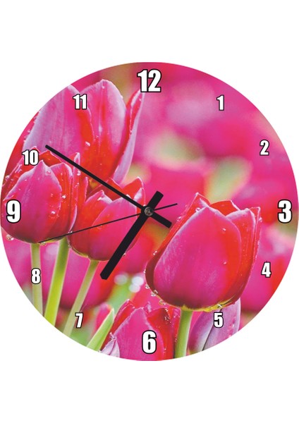 Cakatablo Kırmızı Lale Çiçeği Yağmur Damlacığı Duvar Saati (Çap 30X30 Cm)