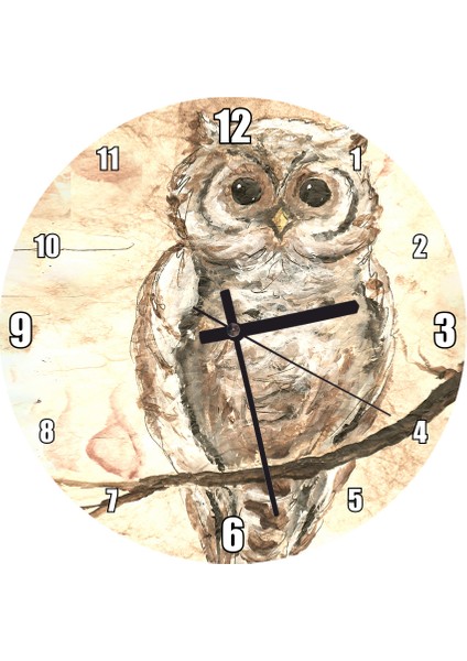 Cakatablo Yağlı Boya Erkek Baykuş Duvar Saati (Çap 50X50 cm )