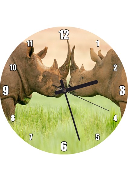 Cakatablo Yeşil Çayırdaki Erkek ve Dişi Gergedan Görseli Duvar Saati (Çap 50X50 cm )