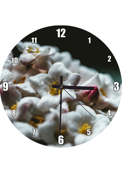 Cakatablo Beyaz Çiçeklerin Arasındaki Asi Pembe Duvar Saati (Çap 30X30 Cm)