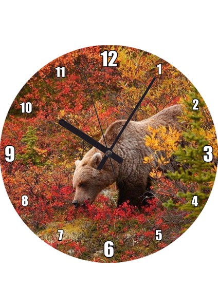 Cakatablo Sonbahar Renkli Ormandaki Boz Ayı Görseli Duvar Saati (Çap 30X30 Cm)
