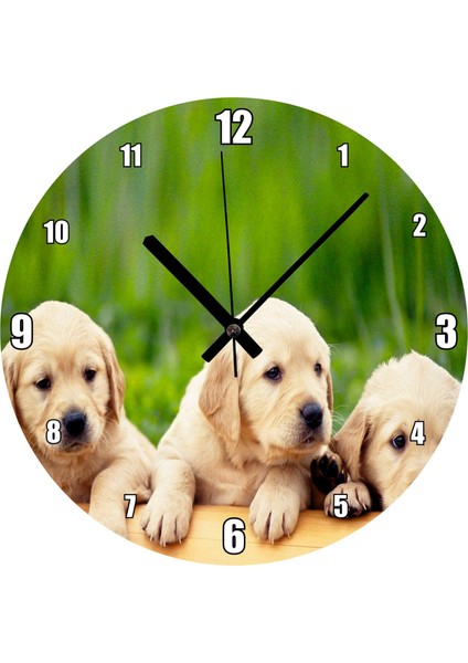 Cakatablo Kütüğün Üzerinde Üç Sevimli Labrador Duvar Saati (Çap 30X30 Cm)