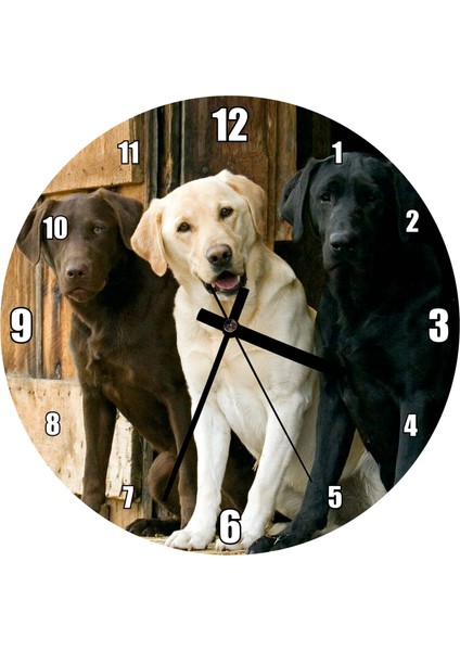 Cakatablo Kahve Krem ve Siyah Labradorlar Duvar Saati (Çap 50X50 cm )