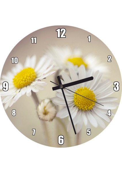 Cakatablo Üç Papatya Yakın Çekim Flu Arkaplan Görseli Duvar Saati (Çap 30X30 Cm)