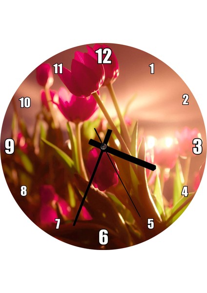 Cakatablo Kırmızı Laleler ve Güneş Işıkları Duvar Saati (Çap 50X50 cm )