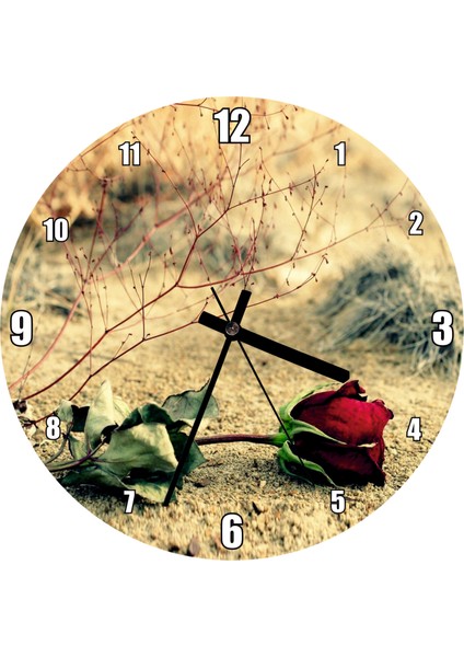 Cakatablo Kurak Toprak ve Solan Kırmızı Gül Duvar Saati (Çap 50X50 cm )