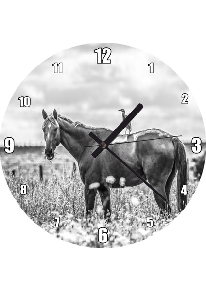 Cakatablo Çayırda Otlayan Aygır ve Sırtındaki Kuş Duvar Saati (Çap 50X50 cm )