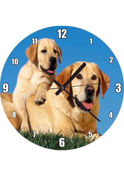 Cakatablo Çayırda Anne Labrador ve Yavrusu Duvar Saati (Çap 50X50 cm )