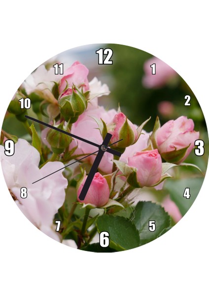 Cakatablo Beyaz ve Pembe Gonca Güller ve Yapraklar Duvar Saati (Çap 30X30 Cm)