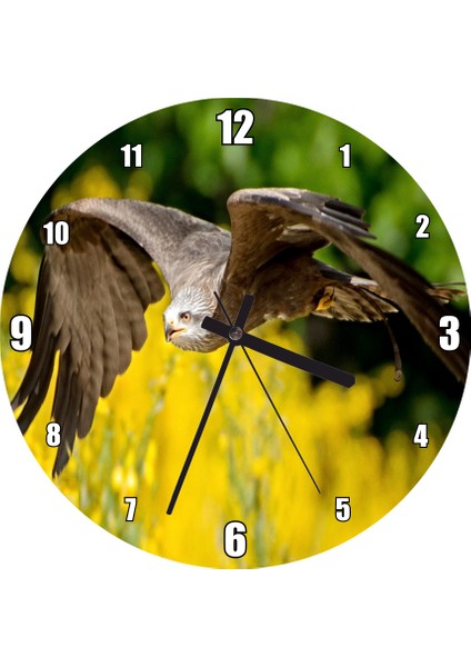 Cakatablo Doğada Alçakta Uçan Şahin Görseli Duvar Saati (Çap 30X30 Cm)