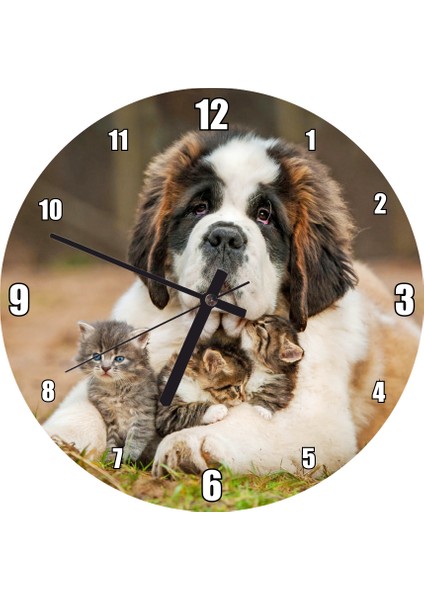 Cakatablo Çayırda Sen Bernard ve Kucağında Yavru Kediler Duvar Saati (Çap 50X50 cm )