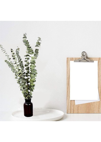 Şoklanmış Okaliptus Stabilize Kuru Çiçek Yeşil 50 Gram indirimleri