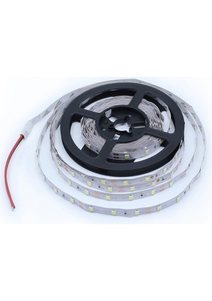 Şerit LED 10 Çipli Mavi Işık 5mt CT-4484