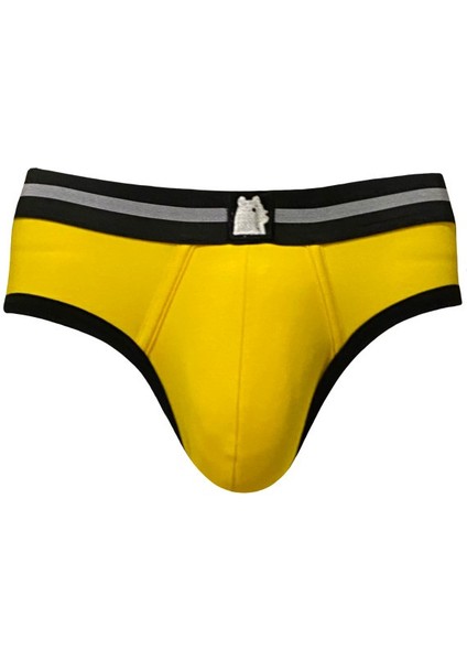 Xcollection Bear Baskılı Slip fiyatları