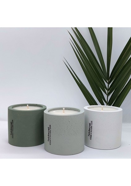 Candle 3'lü Mum Seti - Yeşil Doğa Esintisi Aromalı