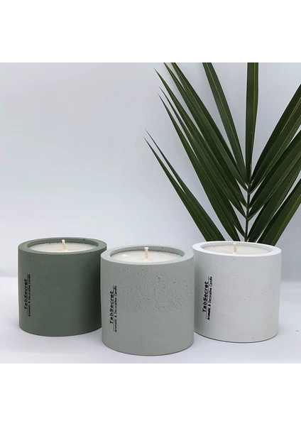 Tabsecret Candle 3'lü Mum Seti - Yeşil Doğa Esintisi Aromalı