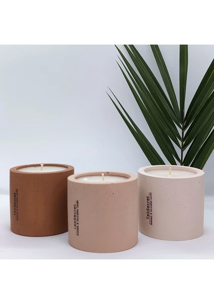 Tabsecret Candle 3'lü Mum Seti - Sandal Ağacı Özü Aromalı