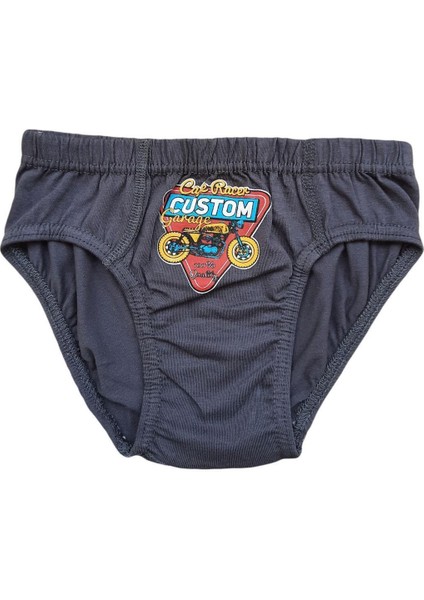 Erkek Çocuk Renkli Desenli Slip Külot Pamuklu 12LI Paket modelleri