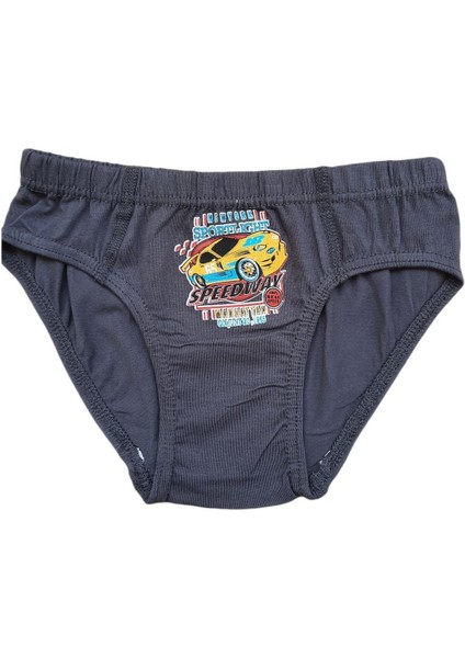 Erkek Çocuk Renkli Desenli Slip Külot Pamuklu 12LI Paket fırsatları