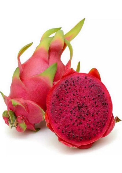 Kırmızı Ejder Meyvesi Tohumu / 5 Adet Pitaya Tohumu
