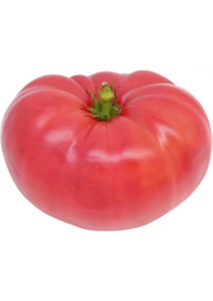 10 Adet Pembe Biftek Domates Tohumu