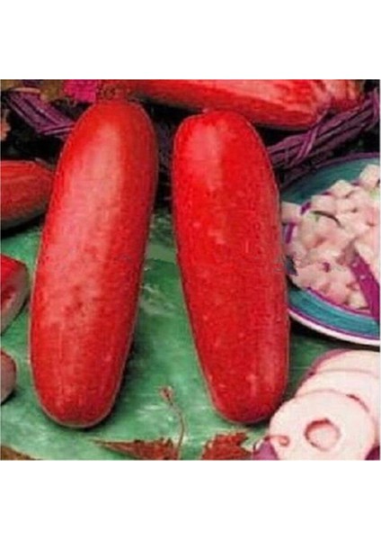 Nadir Ithal Kırmızı Salatalık Tohumu 5 Adet Tohum Red Cucumber