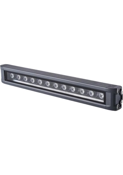 CT-4696 60CM Yeşil Gold Wall Washer Cata