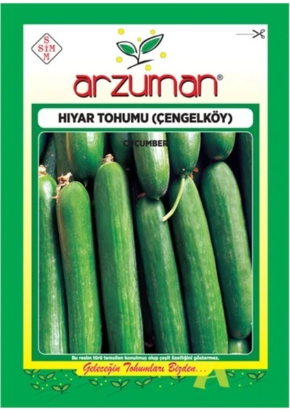 Hıyar Tohumu (Çengel Köy)