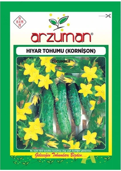 Hıyar Tohumu (Kornişon)