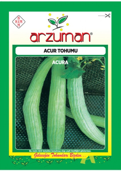 Acur Tohumu