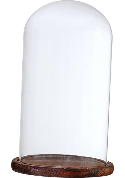 F Fityle Cam Kapak Çiçek Kek LED Işık Ekran Dome Cloche Ekran Tutucu_ Brown G (Yurt Dışından)