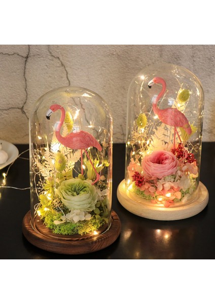 F Fityle Cam Kapak Çiçek Kek LED Işık Ekran Dome Cloche Ekran Tutucu_ Brown G (Yurt Dışından) fiyatları