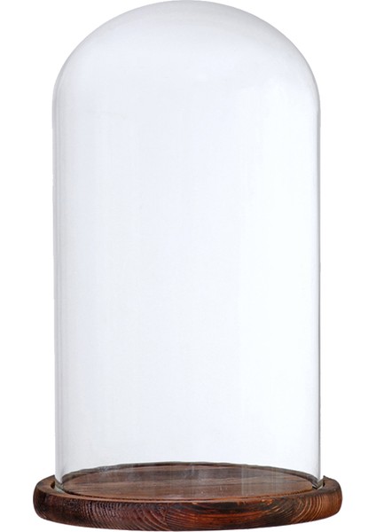 F Fityle Cam Kapak Çiçek Kek LED Işık Ekran Dome Cloche Ekran Tutucu_ Brown G (Yurt Dışından) indirimleri