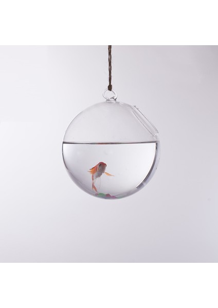 F Fityle Top Şekli Cam Ekici Duvar Asılı Çiçek Vazo Bitki Şişesi Ev Dekorasyonu (Yurt Dışından) fırsatları