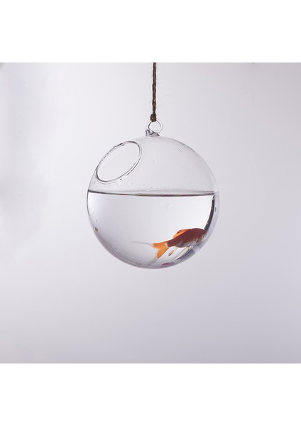 F Fityle Top Şekli Cam Ekici Duvar Asılı Çiçek Vazo Bitki Şişesi Ev Dekorasyonu (Yurt Dışından) indirimleri