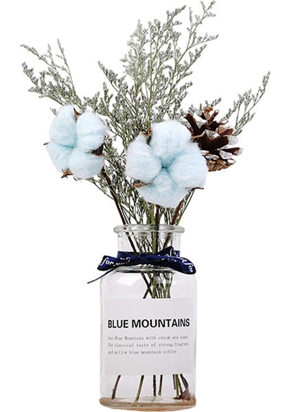 F Fityle Iskandinav Tarzı Cam Kurutulmuş Çiçek Vazo Bitki Tutucu Ofis Teraryum Ekici Mavi Şerit Çiçek (Yurt Dışından)