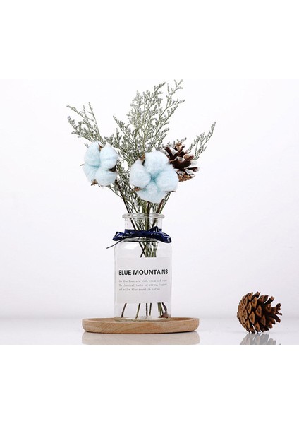 F Fityle Iskandinav Tarzı Cam Kurutulmuş Çiçek Vazo Bitki Tutucu Ofis Teraryum Ekici Mavi Şerit Çiçek (Yurt Dışından) fiyatları