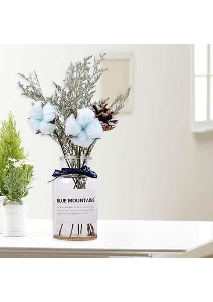 F Fityle Iskandinav Tarzı Cam Kurutulmuş Çiçek Vazo Bitki Tutucu Ofis Teraryum Ekici Mavi Şerit Çiçek (Yurt Dışından) modelleri