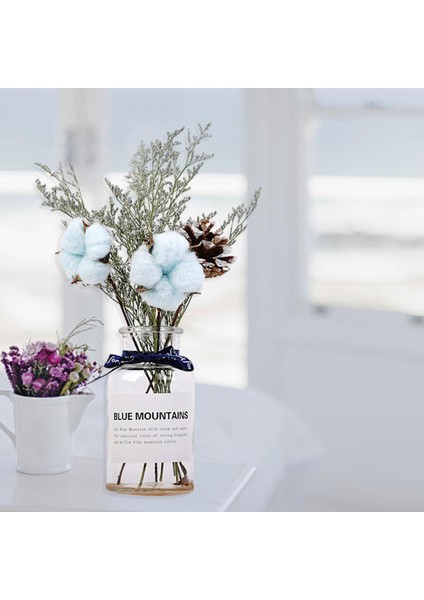 F Fityle Iskandinav Tarzı Cam Kurutulmuş Çiçek Vazo Bitki Tutucu Ofis Teraryum Ekici Mavi Şerit Çiçek (Yurt Dışından) fırsatları