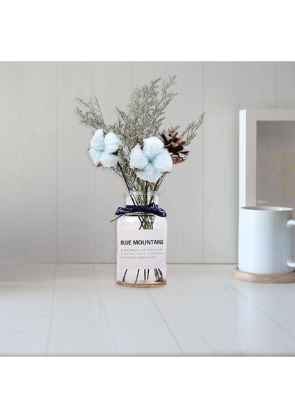 F Fityle Iskandinav Tarzı Cam Kurutulmuş Çiçek Vazo Bitki Tutucu Ofis Teraryum Ekici Mavi Şerit Çiçek (Yurt Dışından) indirimleri