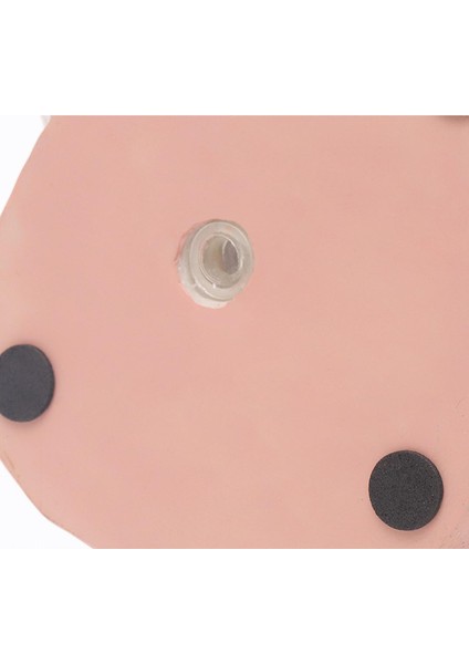 Sevimli Kız Etli Tencere Kaktüs Bitki Vazo Drenaj Delik Ofis Dekor ile 17.5X17.5X27 cm (Yurt Dışından) fırsatları