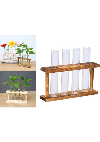 Duvara Monte Asılı Ekici Test Boru Çiçek Vazo Masaüstü Camı Tr Standı Ahşap (Yurt Dışından) modelleri