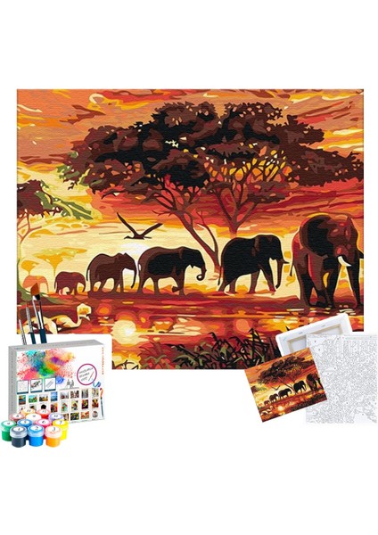 Sayılarla Boyama Seti 40 x 50 cm Tuval Şasesine Gerili Filler