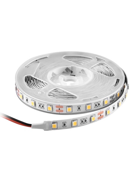 12V Iç Mekan Şerit LED 4000K 5 Mt. NL105N-12