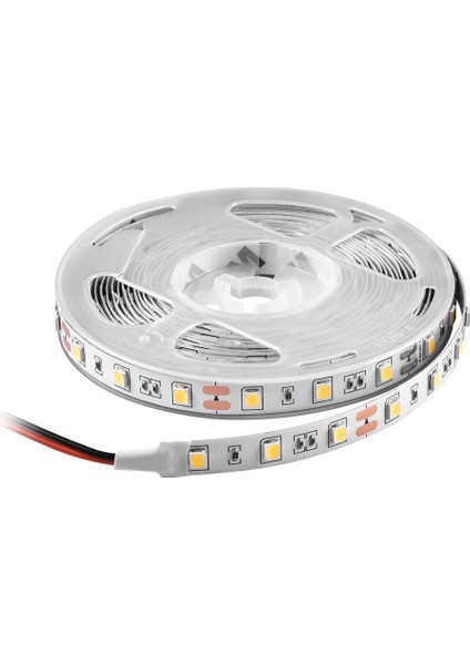 12V Iç Mekan Şerit LED 6500K 5 Mt. NL105B-12