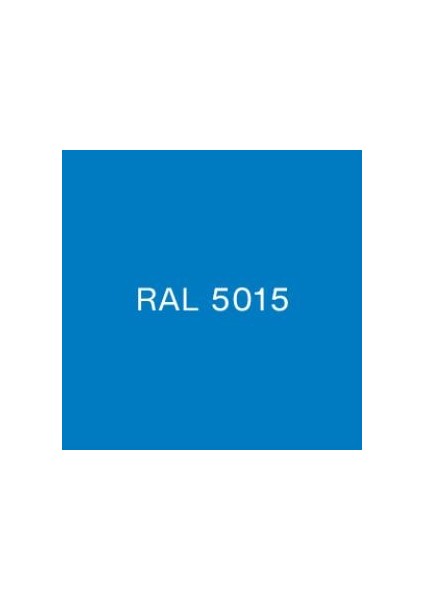 Rapid Boya 2.5 kg Mavi Ral 5015
