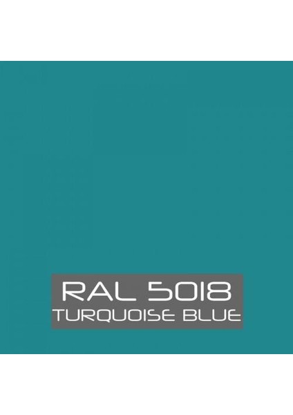 Rapid Boya 2.5 kg Turkuaz Ral 5018 fiyatları