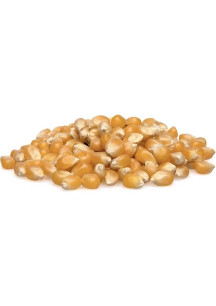 Patlayan Mısır 500 gr
