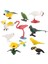 10 Parça Oyuncak Mini Kuş Modeli Set Flamingo Parakeet Simülasyonu Çocuk Hediye Için (Yurt Dışından) 2