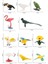 10 Parça Oyuncak Mini Kuş Modeli Set Flamingo Parakeet Simülasyonu Çocuk Hediye Için (Yurt Dışından) 5